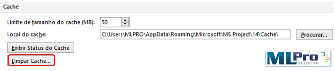 Cache-no-Project-Professional-2010 3