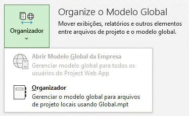 Project Professional Organizer Menu