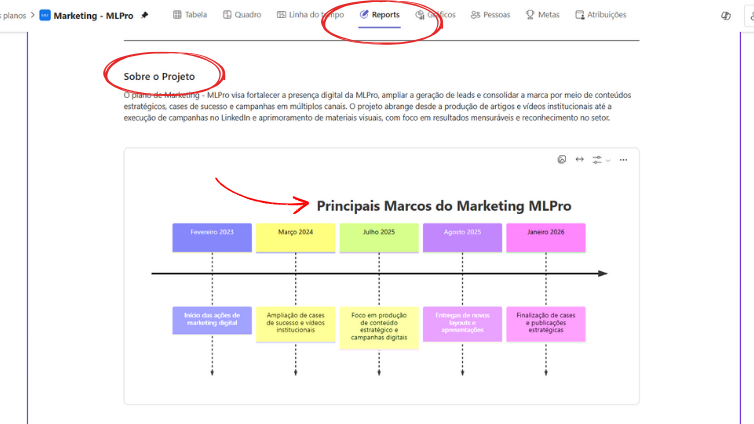 Main milestones of the Plan - Report generated by Project Manager Agent