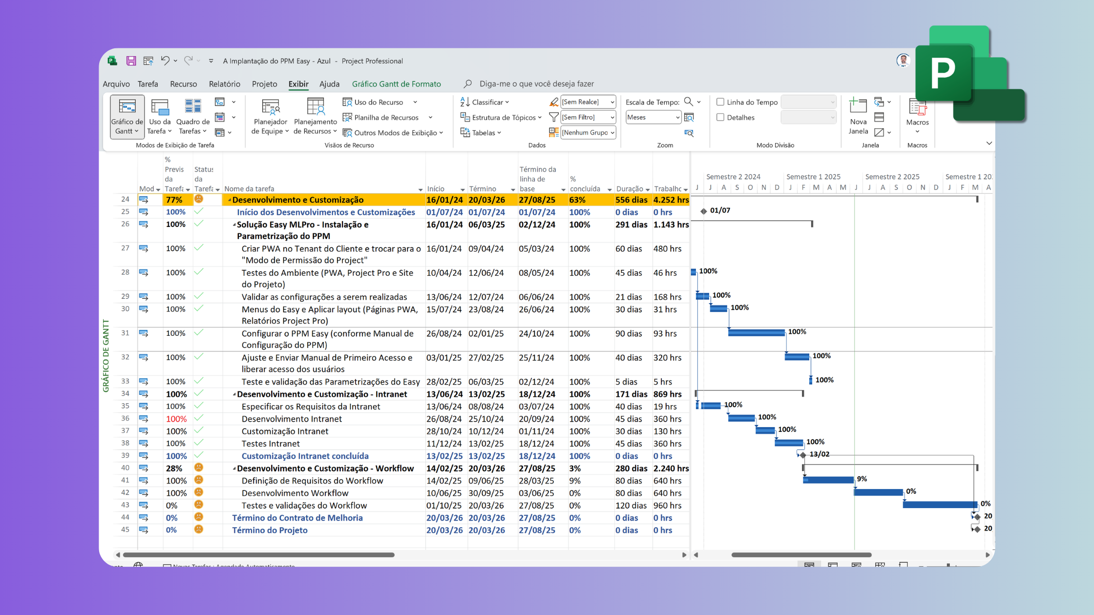 Gantt chart on Project Professional