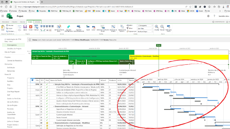 Project Online Gantt Graph