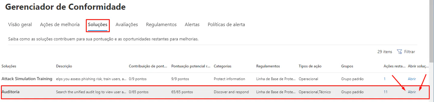 Audit Project