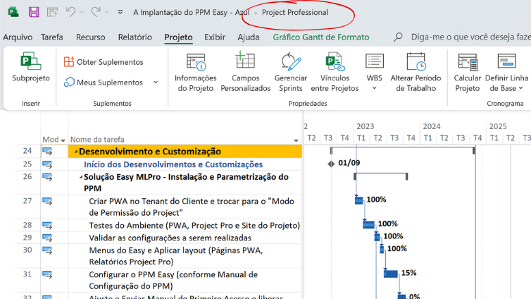 Timetable on Project Professional